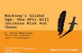 Hacking’s Gilded Age: How APIs Will Increase Risk And Chaos
