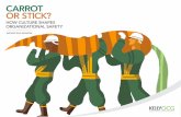 Carrot or stick? - How culture shapes organizational safety