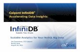Calpont InfiniDB® - Scalable and Fast Analytics for Your NoSQL Big Data