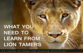 What You Need to Learn From Lion Tamers