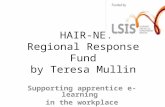Presentation on LSIS HAIRNET Regional Response Project Teresa Mullin