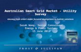 Australian Smart Grid Market - Utility Survey