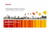 Virtualized Data Centre - Data Centres Without Walls