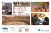AWM and livelihoods in the crop livestock systems of the Volta basin