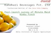 Post-launch survey of Minute maid nimbu fresh