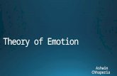 Theory of emotion