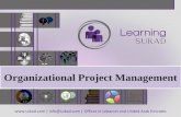 Organizational Project Management; short workshop