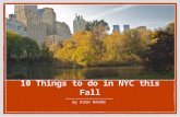 10 Things to Do in NYC this Fall by Kush Mahan