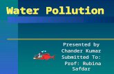 Water Pollution ppt