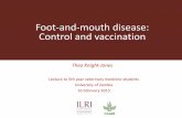 Foot-and-mouth disease: Control and vaccination