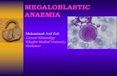 Megaloblastic  anemia
