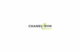 Chameleon Group LLC. Creative