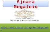 Ajnara Megaleio Retails and Apartments