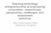 Teaching technology entrepreneurship at engineering universities—experiences, perspectives, challenges, and assessmentworkshop