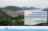 Reoptimization and reoperation study of the Akosombo and Kpong dams - Agriculture component
