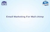 How mail chimp works