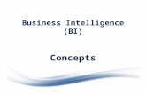Business Intelligence concepts