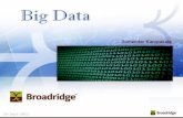 Big Data seminar BR-new