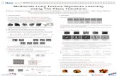 Multiscale Lung Texture Signature Learning Using The Riesz  Transform