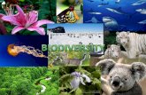 Biodiversity and wildlife