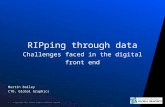RIPping through data - Challenges faced in the digital front end