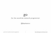 Go for the would be network programmer