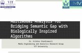 Multimodal Analysis for Bridging Semantic Gap with Biologically Inspired Algorithm