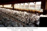 Factory farming human planning project