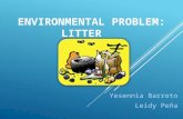 exposure to environmental problems