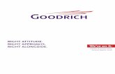 goodrich 305FE1F0-51C7-4E92-8C4D-80EB9AD73885_Goodrich_AR_2006