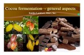 Cacao Fermentation