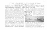 Wild Mischief of Katarnia Ghats.pdf