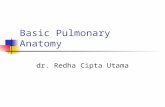 Basic Pulmonary Anatomy