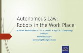 Autonomous Robots 2
