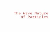 Wave Nature of Particles