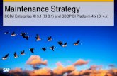 SAP BI Maintenance Strategy