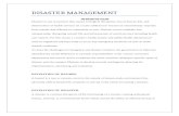 DISASTER MANAGEMENT.docx