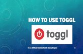 How To Use Toggl