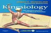 Kinesiology Skeletal System and Muscle Function
