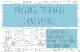 Geometry Proving traingle congruence