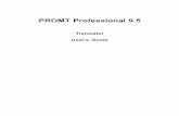 PROMT Professional 9.5 User's Guide