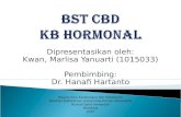 KB Hormonal