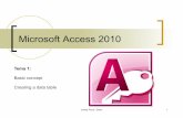 06 Microsoft Acces 2010 (Teoria3)