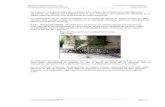manual de inspeccion visual de puentes y pontenes(1).docx