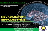 Neuroanatomi Sirkulus Wilisi