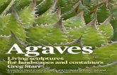 Agaves - Living Sculptures for Landscapes and Containers.pdf