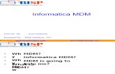 (632354715) Informatica MDM Demo
