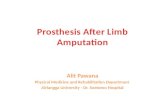 Prosthesis After Amputation MABI