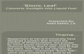 Bionic Leaf