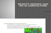 Remote Sensing and Gis in Agriculture